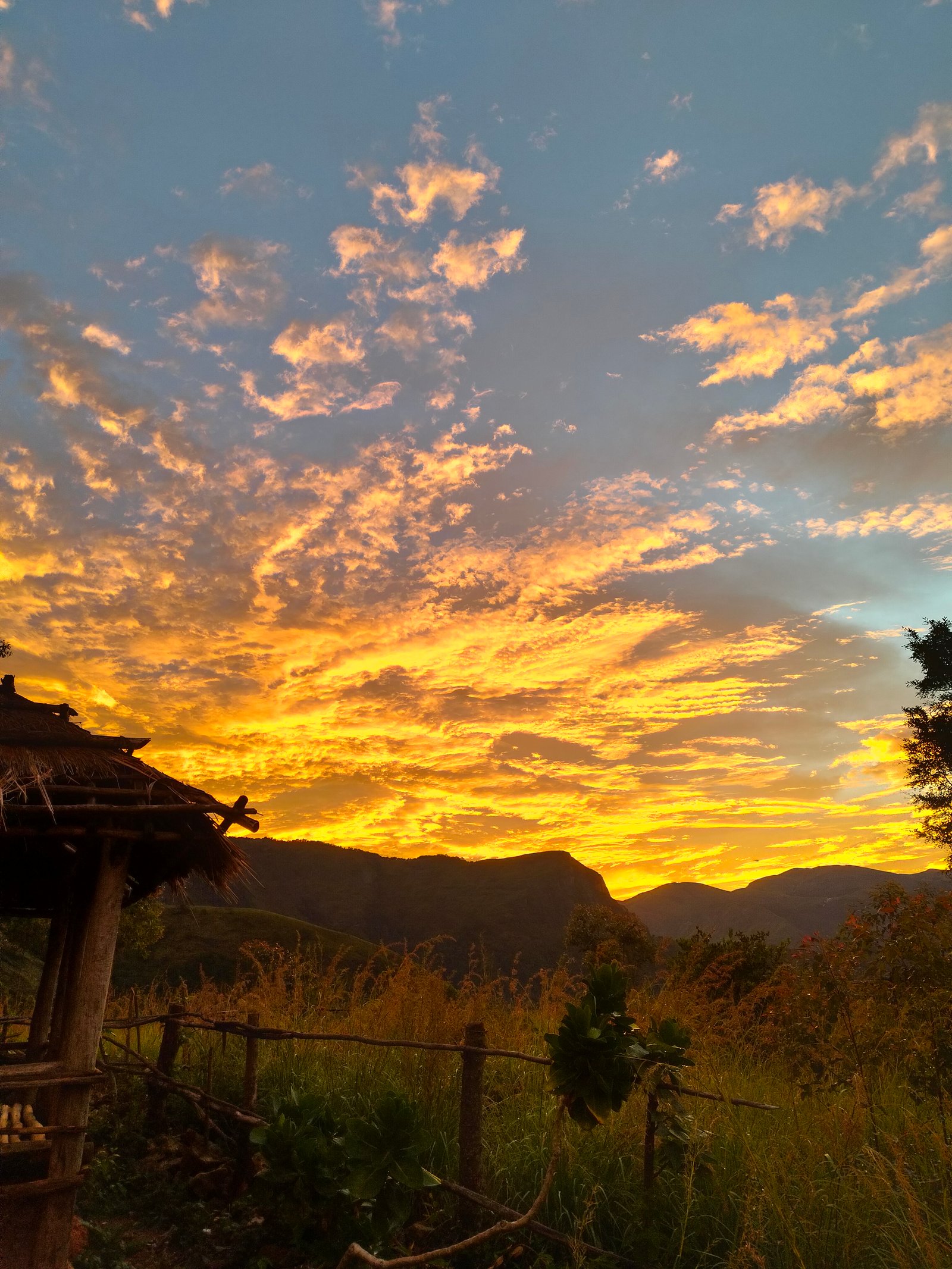 The Future of Web Development in 2025